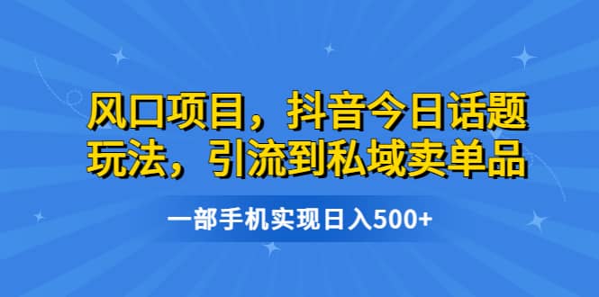 风口项目，抖音今日话题玩法，引流到私域卖单品，一部手机实现日入500-天天资源网