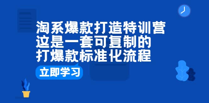 淘系爆款打造特训营：这是一套可复制的打爆款标准化流程-天天资源网