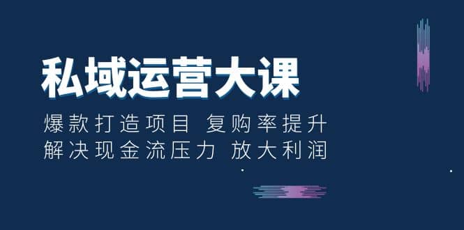 私域运营大课：爆款打造项目 复购率提升 解决现金流压力 放大利润-天天资源网