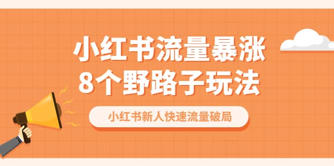 小红书流量-暴涨8个野路子玩法：小红书新人快速流量破局（8节课）-天天资源网