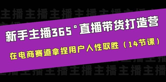 新手主播365°直播带货·打造营，在电商赛道拿捏用户人性取胜（14节课）-天天资源网