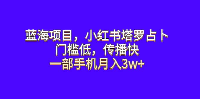 蓝海项目，小红书塔罗占卜，门槛低，传播快，一部手机月入3w-天天资源网