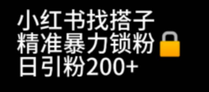 小红书找搭子暴力精准锁粉 引流日引200 精准粉-天天资源网