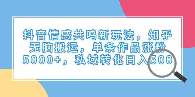 抖音情感共鸣新玩法，知乎无脑搬运，单条作品涨粉5000 ，私域转化日入500-天天资源网