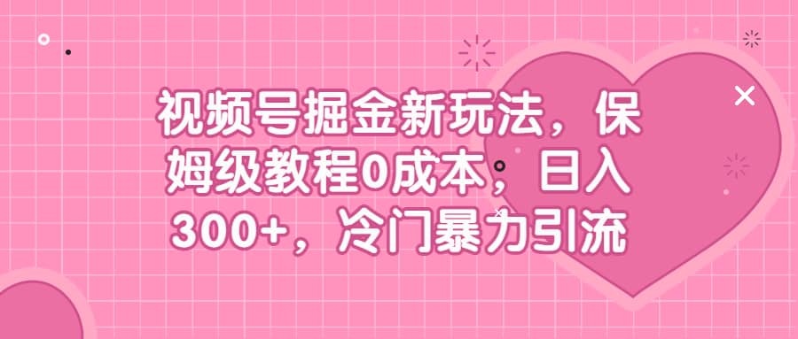 视频号掘金新玩法，保姆级教程0成本，日入300 ，冷门暴力引流-天天资源网