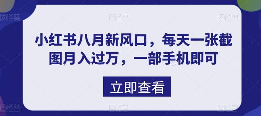 八月新风口，小红书虚拟项目一天收入1000 ，实战揭秘-天天资源网