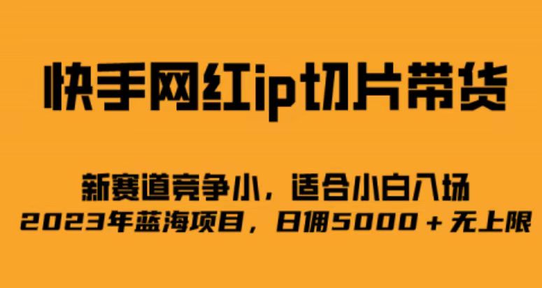 快手网红ip切片新赛道，竞争小事，适合小白 2023蓝海项目-天天资源网