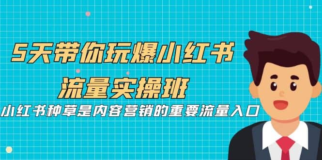 5天带你玩爆小红书流量实操班，小红书种草是内容营销的重要流量入口-天天资源网