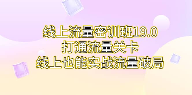 线上流量密训班19.0，打通流量关卡，线上也能实战流量破局-天天资源网