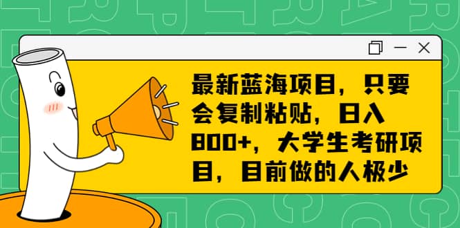 最新蓝海项目，只要会复制粘贴，日入800 ，大学生考研项目，目前做的人极少-天天资源网