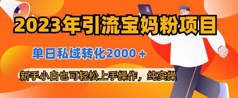 2023年引流宝妈粉项目，单日私域转化2000＋，新手小白也可轻松上手操作，纯实操-天天资源网