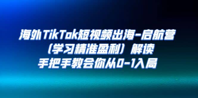 海外TikTok短视频出海-启航营（学习精准盈利）解读，手把手教会你从0-1入局-天天资源网