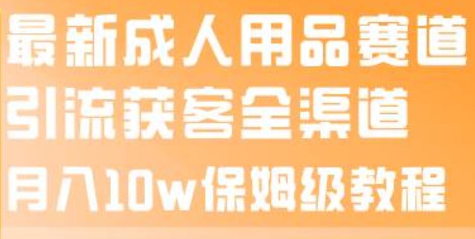 最新成人用品赛道引流获客全渠道，月入10w保姆级教程-天天资源网