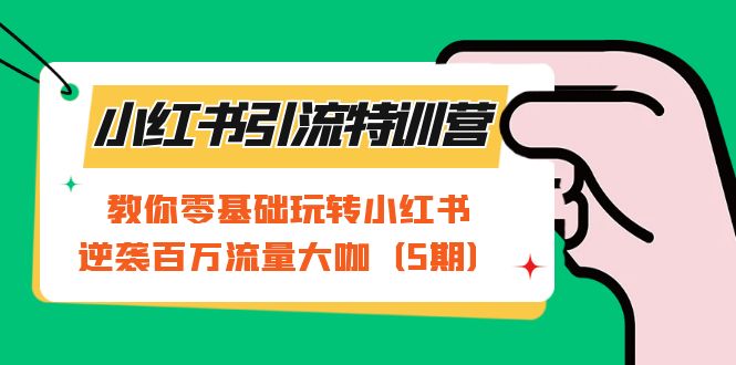 小红书引流特训营-第5期：教你零基础玩转小红书，逆袭百万流量大咖-天天资源网