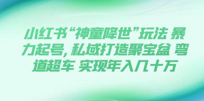 小红书“神童降世”玩法 暴力起号,私域打造聚宝盆 弯道超车 实现年入几十万-天天资源网