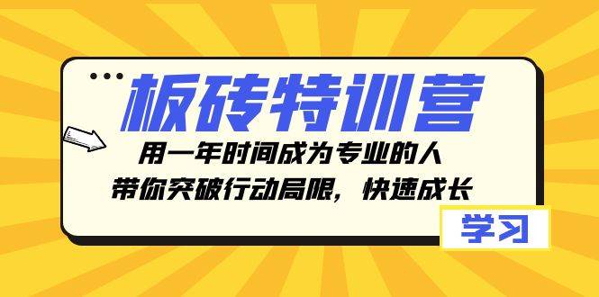 板砖特训营，用一年时间成为专业的人，带你突破行动局限，快速成长-天天资源网