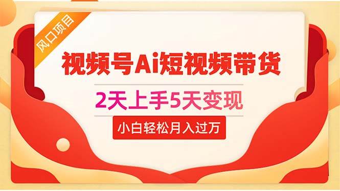 2天上手5天变现视频号Ai短视频带货0粉丝0基础小白轻松月入过万-天天资源网