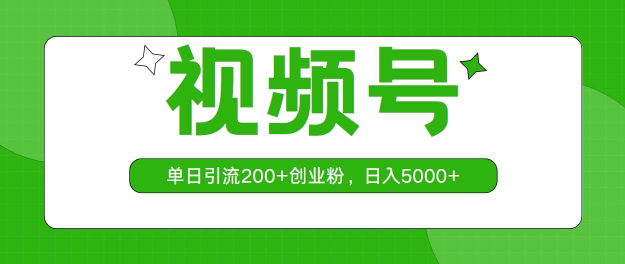 视频号，单日引流200+创业粉，日入5000+-天天资源网