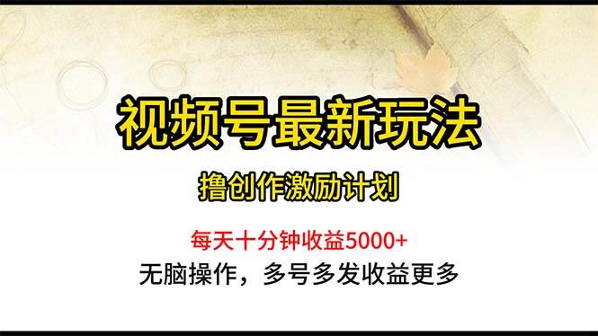 视频号最新玩法，每日一小时月入5000+-天天资源网