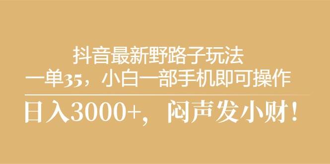 抖音最新野路子玩法，一单35，小白一部手机即可操作，，日入3000+，闷…-天天资源网