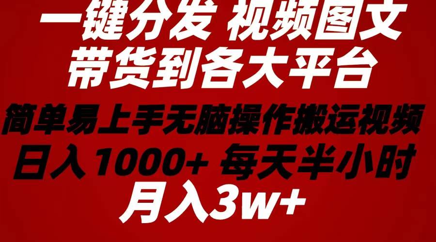 2024年 一键分发带货图文视频  简单易上手 无脑赚收益 每天半小时日入1…-天天资源网