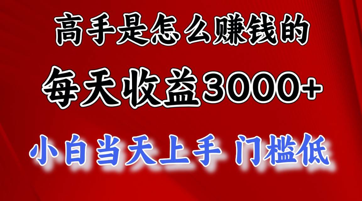 高手是怎么赚钱的，一天收益3000+ 这是穷人逆风翻盘的一个项目，非常稳…-天天资源网