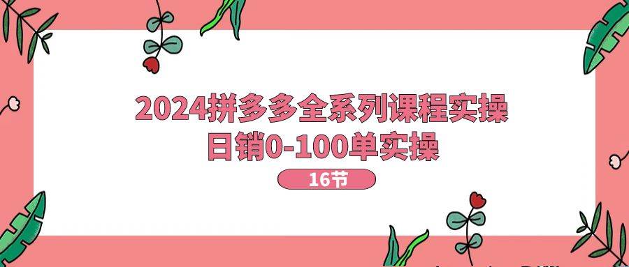 2024拼多多全系列课程实操，日销0-100单实操【16节课】-天天资源网