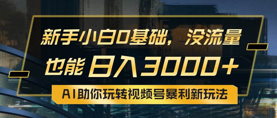 小白0基础，没流量也能日入3000+：AI助你玩转视频号暴利新玩法-天天资源网