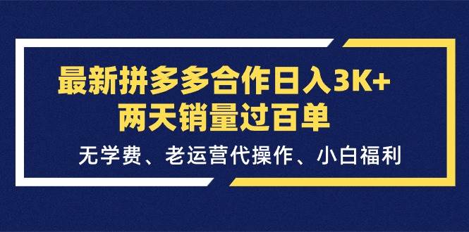 最新拼多多合作日入3K+两天销量过百单，无学费、老运营代操作、小白福利-天天资源网