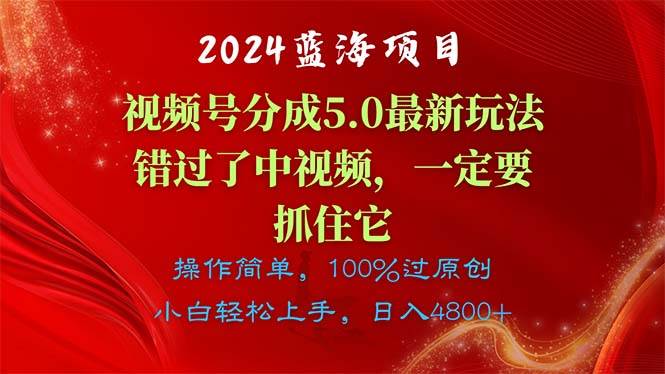 2024蓝海项目，视频号分成计划5.0最新玩法，错过了中视频，一定要抓住…-天天资源网