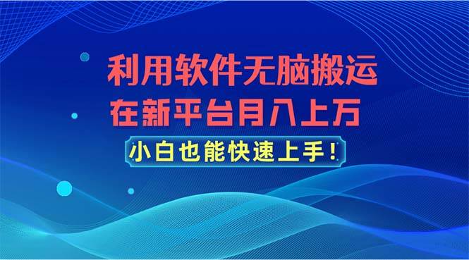 利用软件无脑搬运，在新平台月入上万，小白也能快速上手-天天资源网