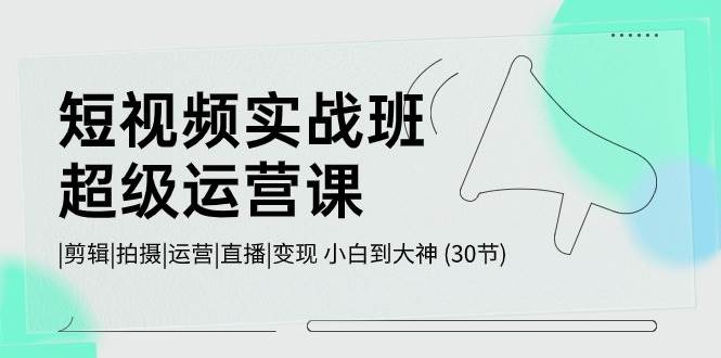 短视频实战班-超级运营课，|剪辑|拍摄|运营|直播|变现 小白到大神 (30节)-天天资源网