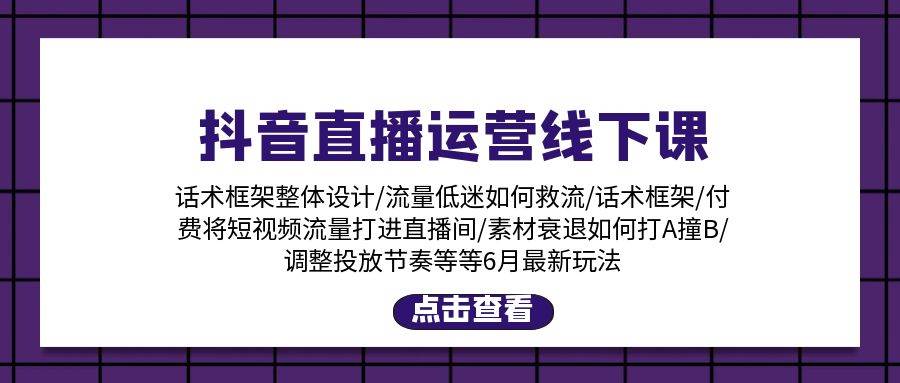 抖音直播运营线下课：话术框架/付费流量直播间/素材A撞B/等6月新玩法-天天资源网