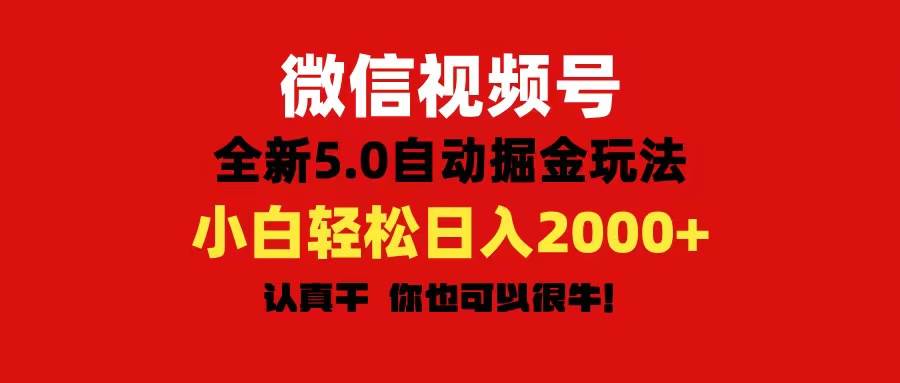 微信视频号变现，5.0全新自动掘金玩法，日入利润2000+有手就行-天天资源网