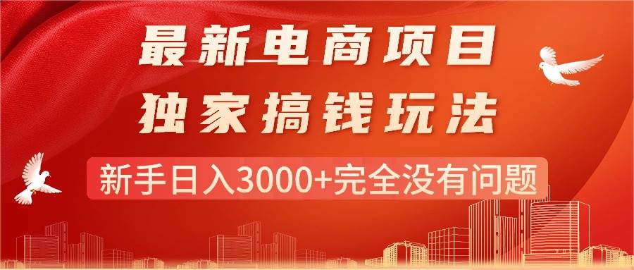 最新电商项目-搞钱玩法，新手日入3000+完全没有问题-天天资源网