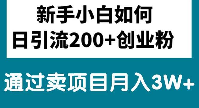 新手小白日引流200+创业粉,通过卖项目月入3W+-天天资源网