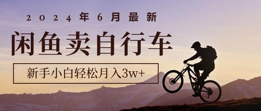 2024年6月最新闲鱼卖自行车，新手小白轻松月入3w+项目-天天资源网