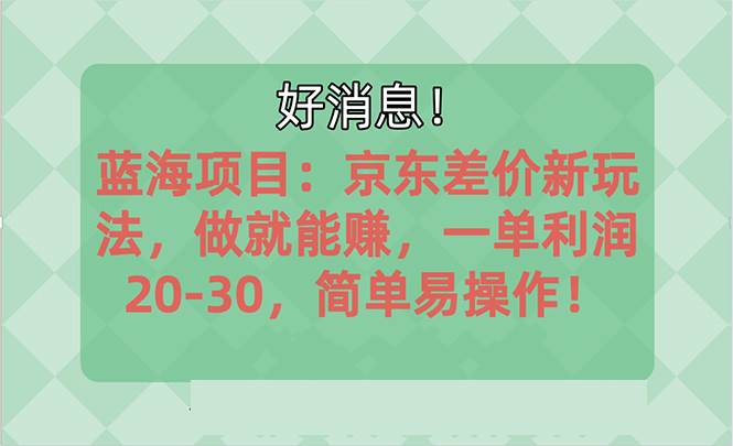 越早知道越能赚到钱的蓝海项目：京东大平台操作，一单利润20-30，简单…-天天资源网