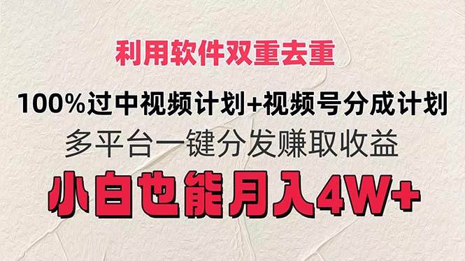 利用软件双重去重，100%过中视频+视频号分成计划小白也可以月入4W+-天天资源网