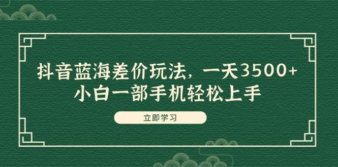 抖音蓝海差价玩法，一天3500+，小白一部手机轻松上手-天天资源网