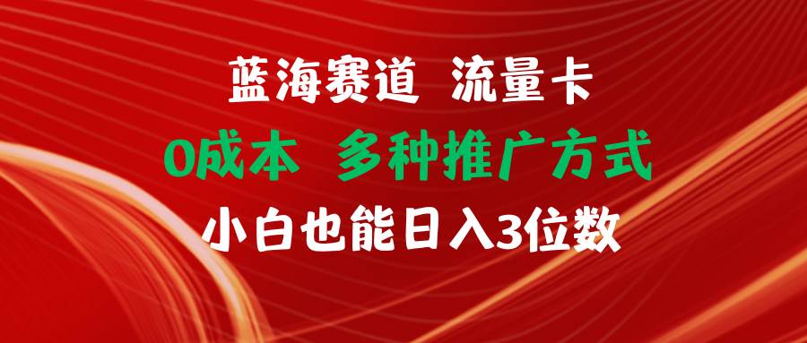 蓝海赛道 流量卡 0成本 小白也能日入三位数-天天资源网