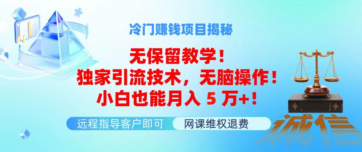 冷门赚钱项目无保留教学！独家引流技术，无脑操作！小白也能月入5万+！-天天资源网