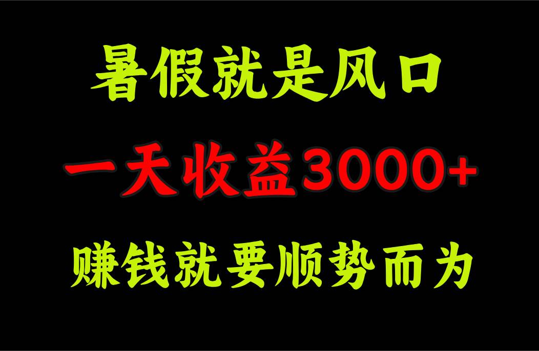 一天收益3000+ 赚钱就是顺势而为，暑假就是风口-天天资源网