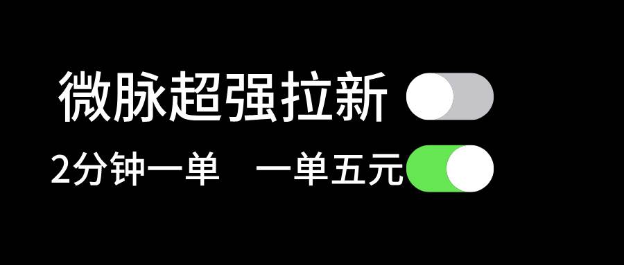 微脉超强拉新， 两分钟1单， 一单利润5块，适合小白-天天资源网