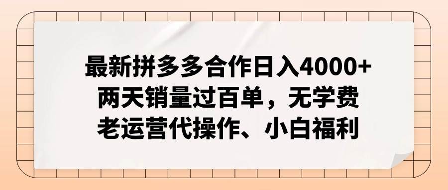 最新拼多多合作日入4000+两天销量过百单，无学费、老运营代操作、小白福利-天天资源网