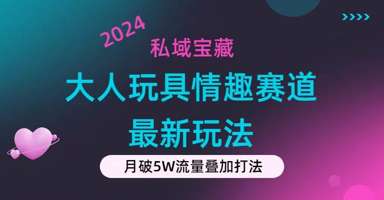 私域宝藏：大人玩具情趣赛道合规新玩法，零投入，私域超高流量成单率高-天天资源网