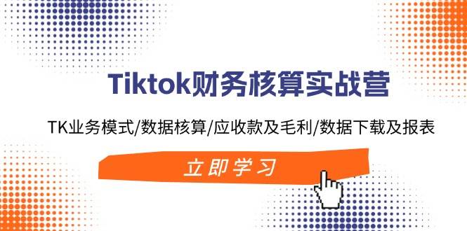 Tiktok财务核算实战营：TK业务模式/数据核算/应收款及毛利/数据下载及报表-天天资源网