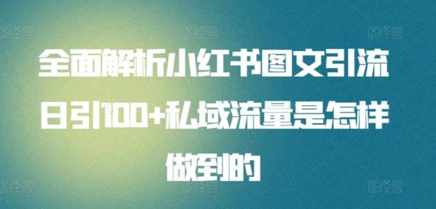 全面解析小红书图文引流日引100私域流量是怎样做到的-天天资源网