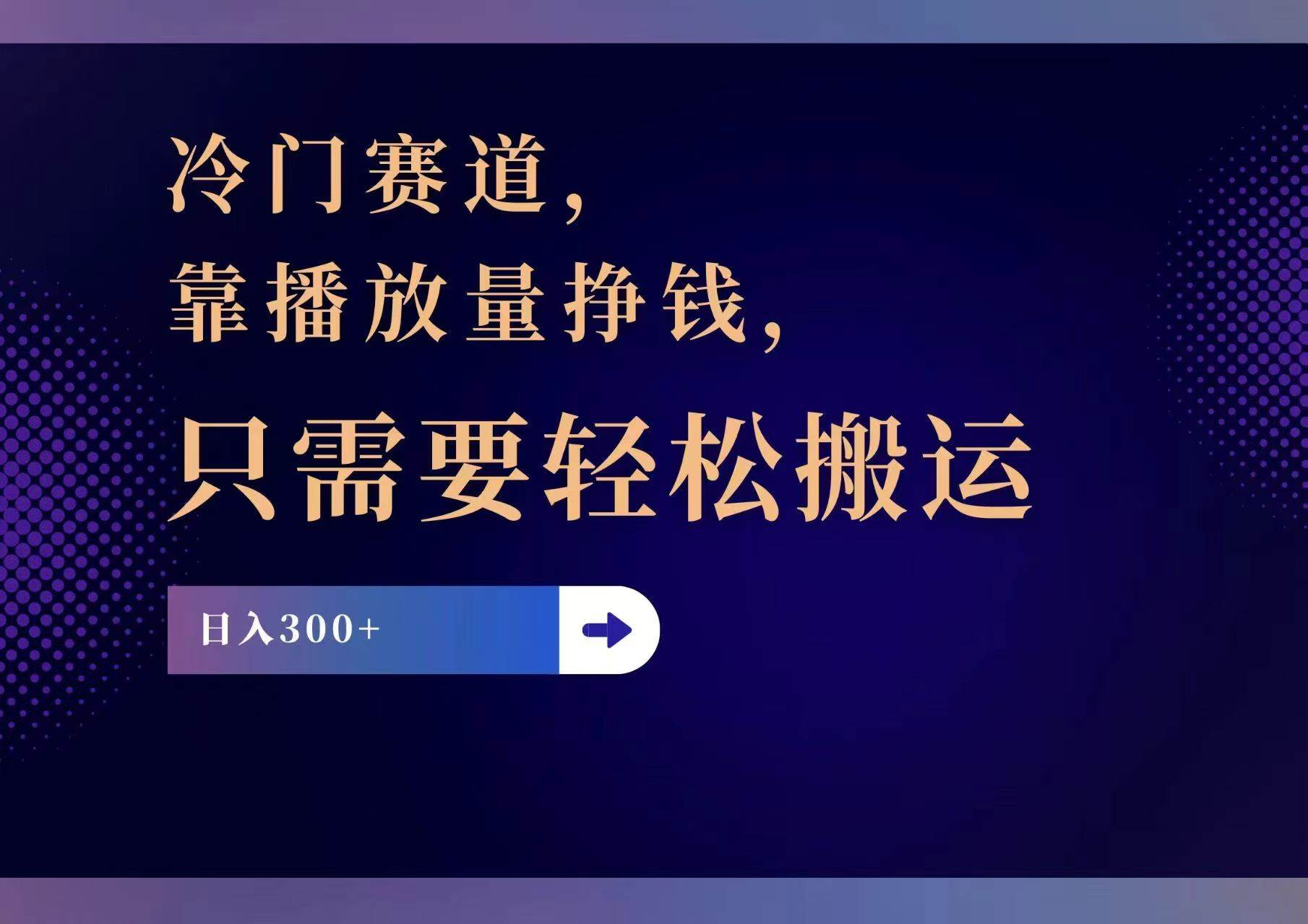 冷门赛道，靠播放量挣钱，只需要轻松搬运，日赚300+-天天资源网