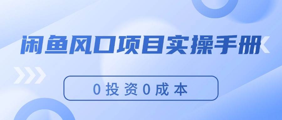 闲鱼风口项目实操手册，0投资0成本，让你做到，月入过万，新手可做-天天资源网